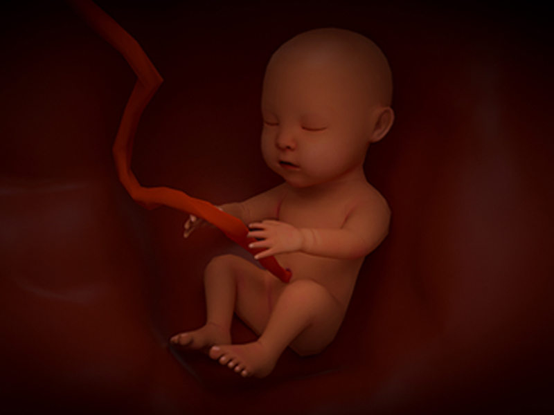 资讯〡国家卫健委发布《全国出生缺陷综合防治方案》