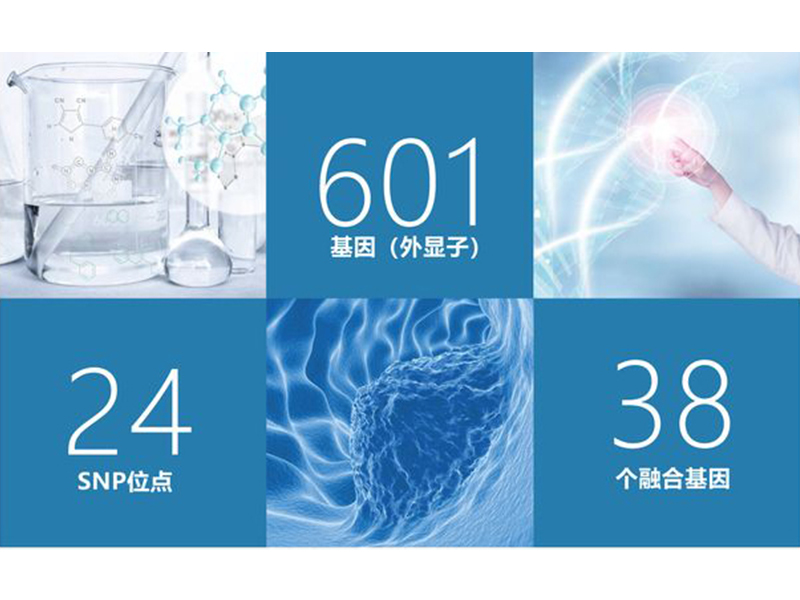 肿瘤全面用药基因检测